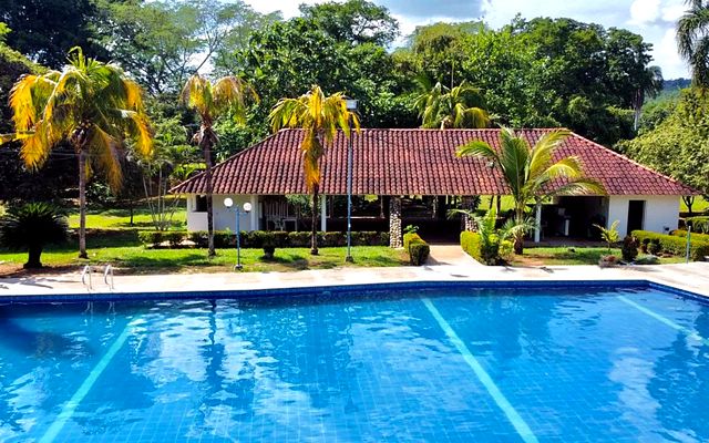 Swimming pool surrounded by palm trees and greenery in a residential complex in Melgar, Tolima