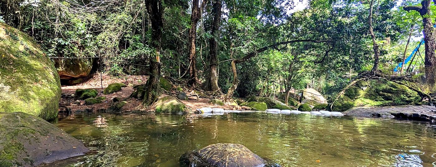 Aguas cristalinas de la quebrada La Cajita cerca de Melgar, Tolima