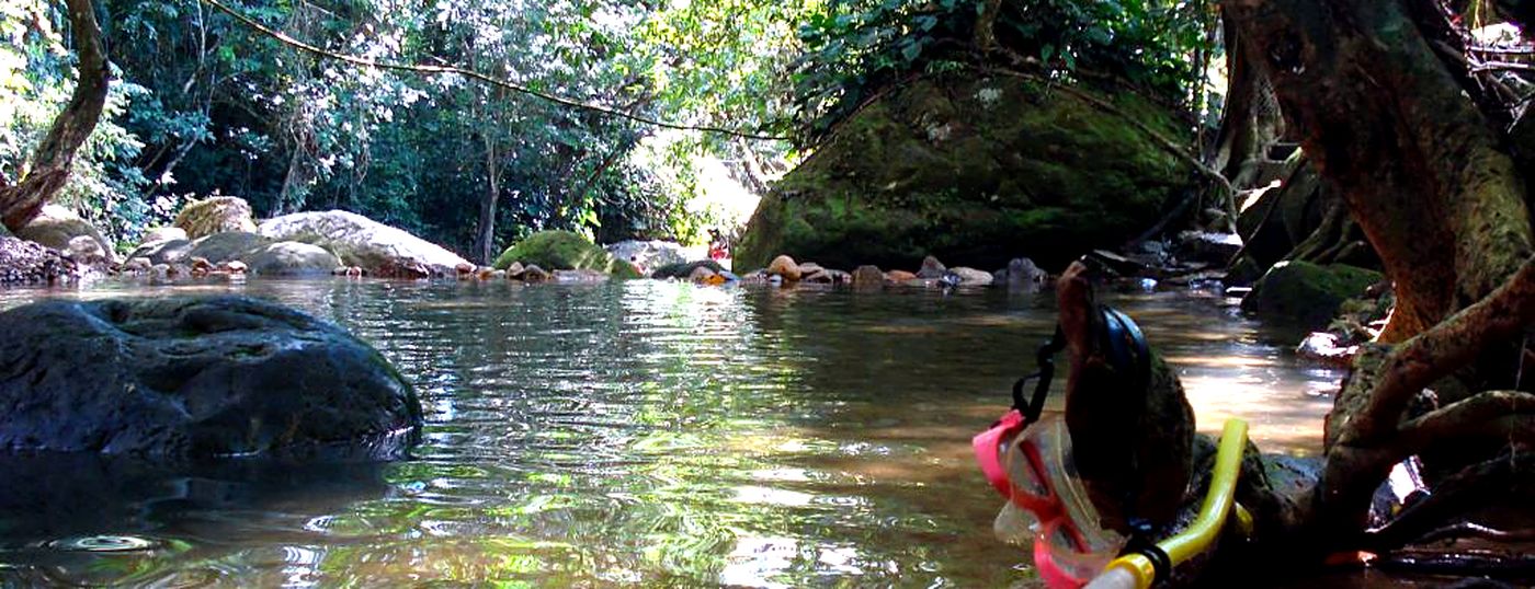 Quebrada de aguas tranquilas rodeada de vegetación cerca de Melgar