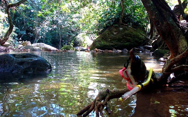 Quebrada de aguas tranquilas rodeada de vegetaci&oacute;n cerca de Melgar