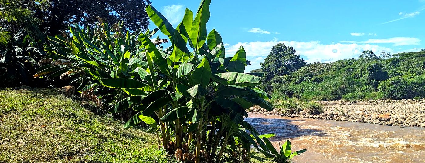 Río y vegetación tropical cerca de Melgar, Tolima
